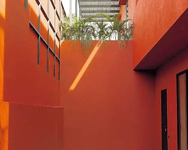 Five Stories By Suom *